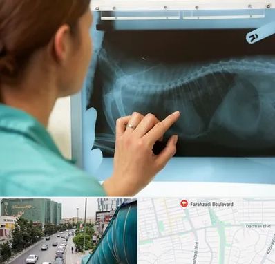 رادیولوژی پرندگان در بلوار فرحزادی