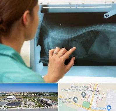 رادیولوژی پرندگان در ملارد