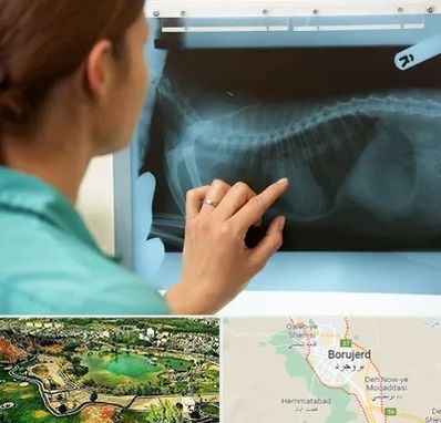 رادیولوژی پرندگان در بروجرد