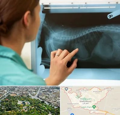 رادیولوژی پرندگان در شهرکرد