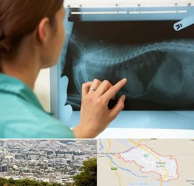 رادیولوژی پرندگان در یاسوج