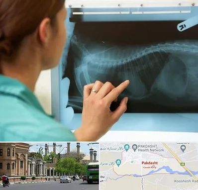 رادیولوژی پرندگان در پاکدشت