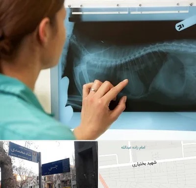 رادیولوژی پرندگان در سی متری جی