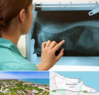 رادیولوژی پرندگان در نوشهر