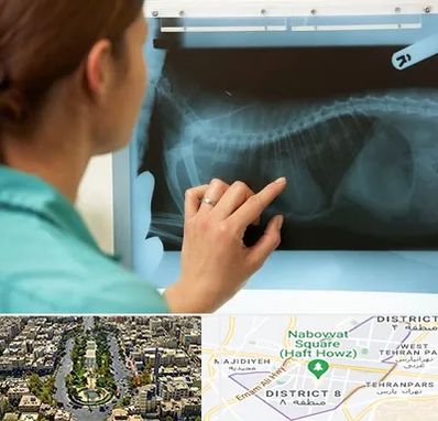 رادیولوژی پرندگان در نارمک 