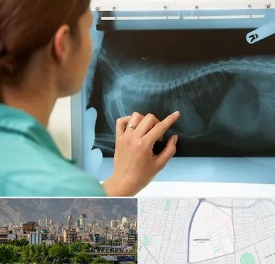 رادیولوژی پرندگان در جمشیدیه