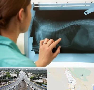 رادیولوژی پرندگان در اندیمشک