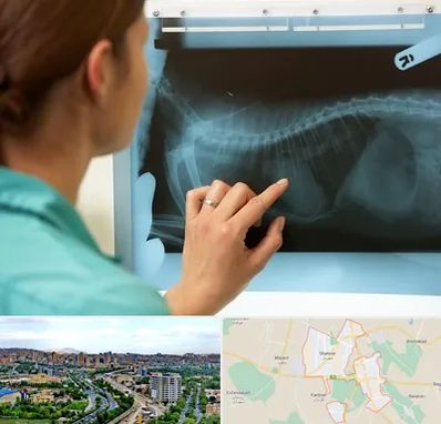 رادیولوژی پرندگان در شهریار