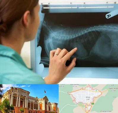 رادیولوژی پرندگان در خوی