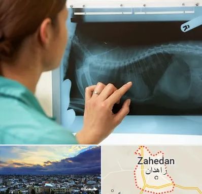 رادیولوژی پرندگان در زاهدان