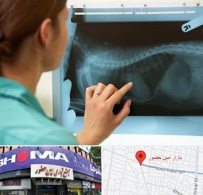 رادیولوژی پرندگان در امین حضور