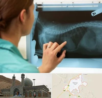 رادیولوژی پرندگان در شهرضا