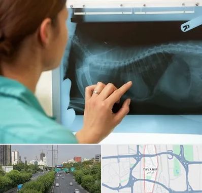 رادیولوژی پرندگان در توانیر