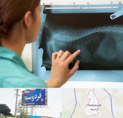 رادیولوژی پرندگان در فردوسیه شهریار
