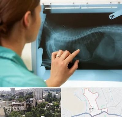 رادیولوژی پرندگان در اوین