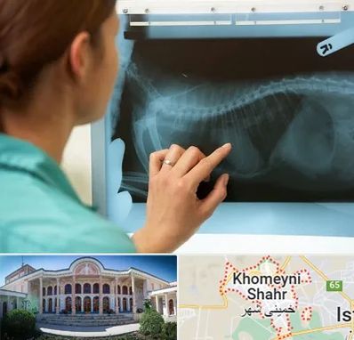 رادیولوژی پرندگان در خمینی شهر