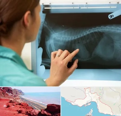 رادیولوژی پرندگان در هرمزگان