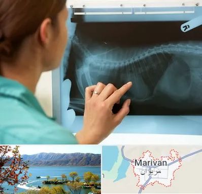 رادیولوژی پرندگان در مریوان