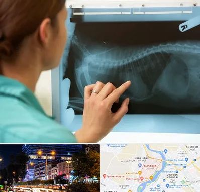 رادیولوژی پرندگان در کیانپارس اهواز