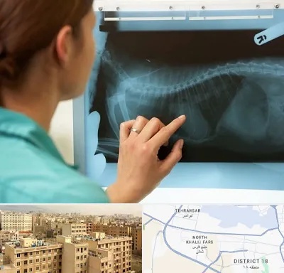 رادیولوژی پرندگان در جنوب غرب تهران