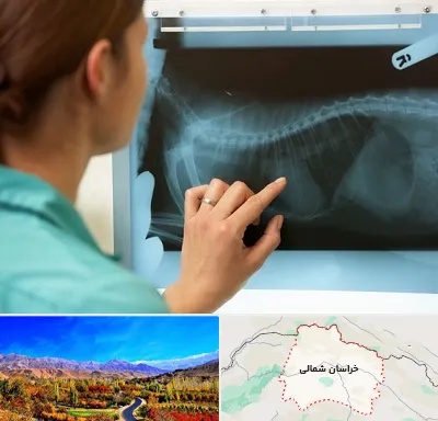 رادیولوژی پرندگان در خراسان شمالی