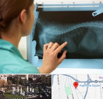 رادیولوژی پرندگان در آرژانتین