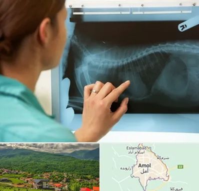 رادیولوژی پرندگان در آمل