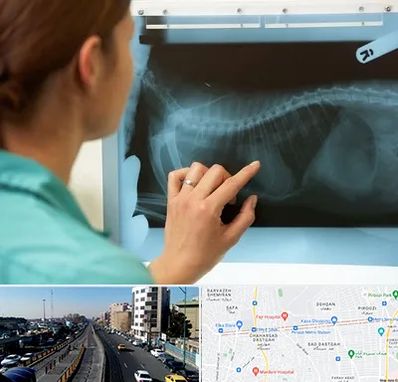 رادیولوژی پرندگان در پیروزی 