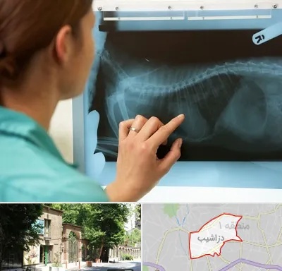 رادیولوژی پرندگان در دزاشیب