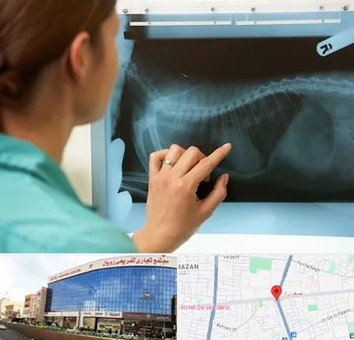 رادیولوژی پرندگان در نصف راه تبریز