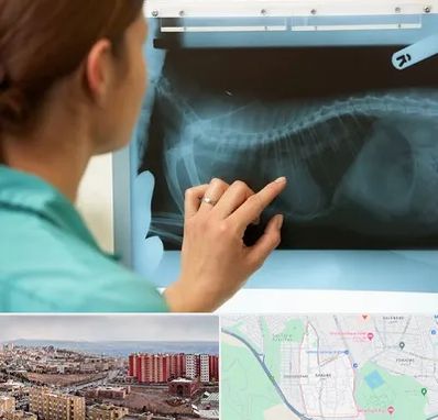 رادیولوژی پرندگان در سهند تبریز