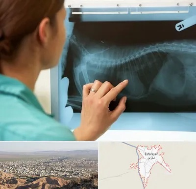 رادیولوژی پرندگان در اسفراین