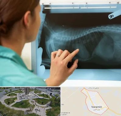 رادیولوژی پرندگان در ورامین