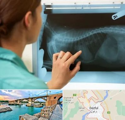 رادیولوژی پرندگان در دزفول