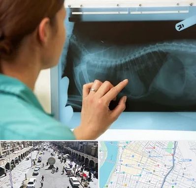 رادیولوژی پرندگان در نادری اهواز