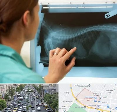 رادیولوژی پرندگان در گلشهر کرج