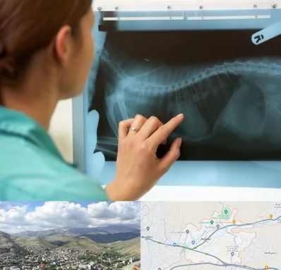 رادیولوژی پرندگان در رودهن