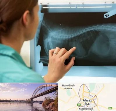 رادیولوژی پرندگان در اهواز