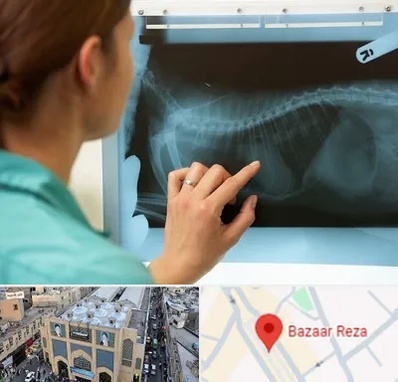 رادیولوژی پرندگان در بازار رضا مشهد