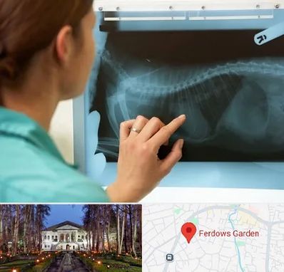 رادیولوژی پرندگان در باغ فردوس