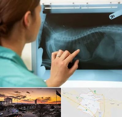 رادیولوژی پرندگان در قوچان