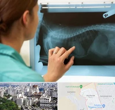 رادیولوژی پرندگان در ولنجک 