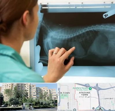 رادیولوژی پرندگان در آپادانا