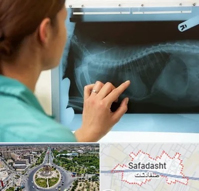 رادیولوژی پرندگان در صفادشت