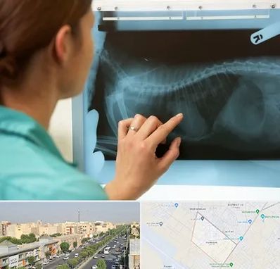 رادیولوژی پرندگان در کیانمهر کرج