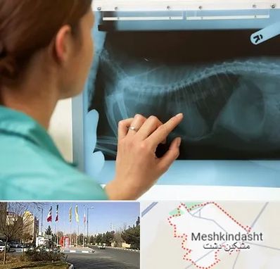 رادیولوژی پرندگان در مشکین دشت