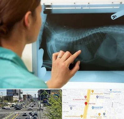 رادیولوژی پرندگان در ستاری 