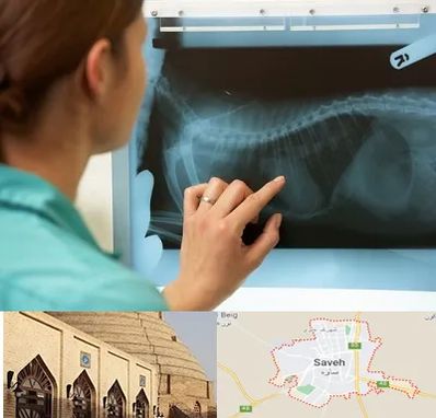 رادیولوژی پرندگان در ساوه