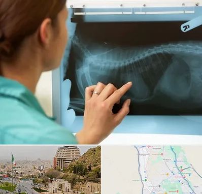 رادیولوژی پرندگان در فرهنگ شهر شیراز