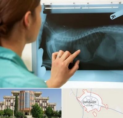 رادیولوژی پرندگان در دهدشت
